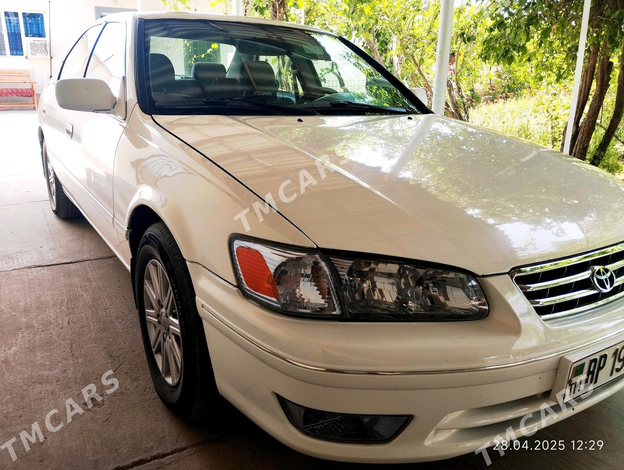 Toyota Camry 2001 - 140 000 TMT - Достлук - img 4