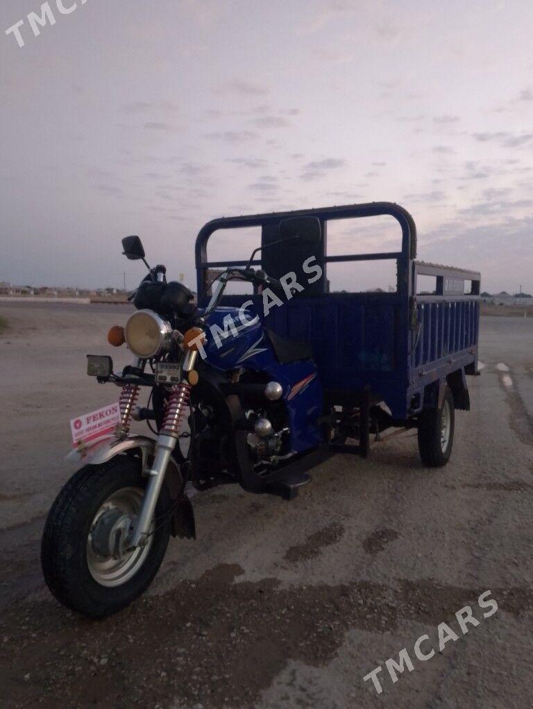 Fekon FK200-14G 2018 - 19 000 TMT - Jebel - img 2