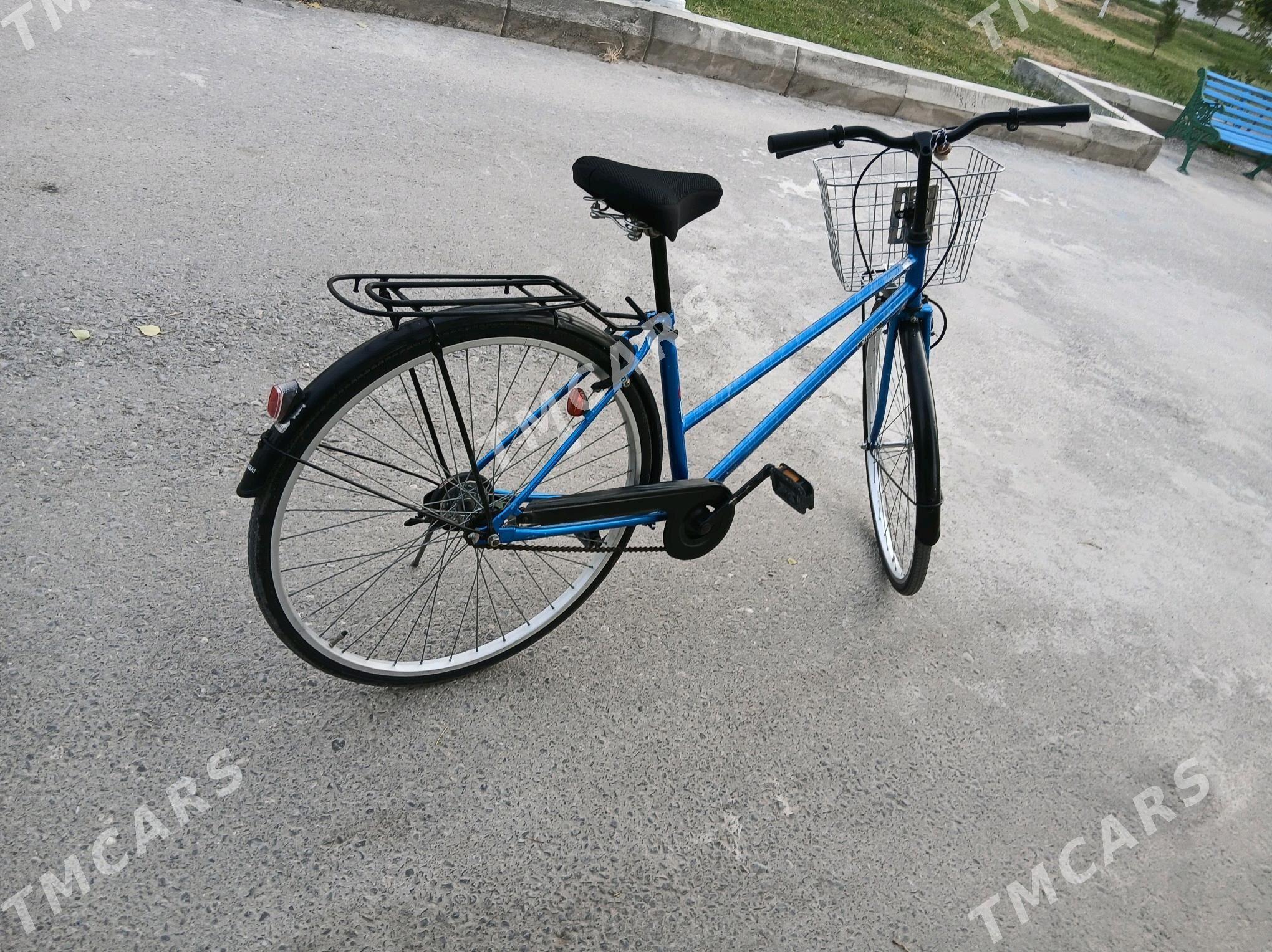 yaponka 27 - Büzmeýin - img 2
