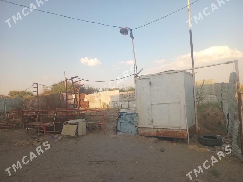 Daca - Türkmenabat - img 4