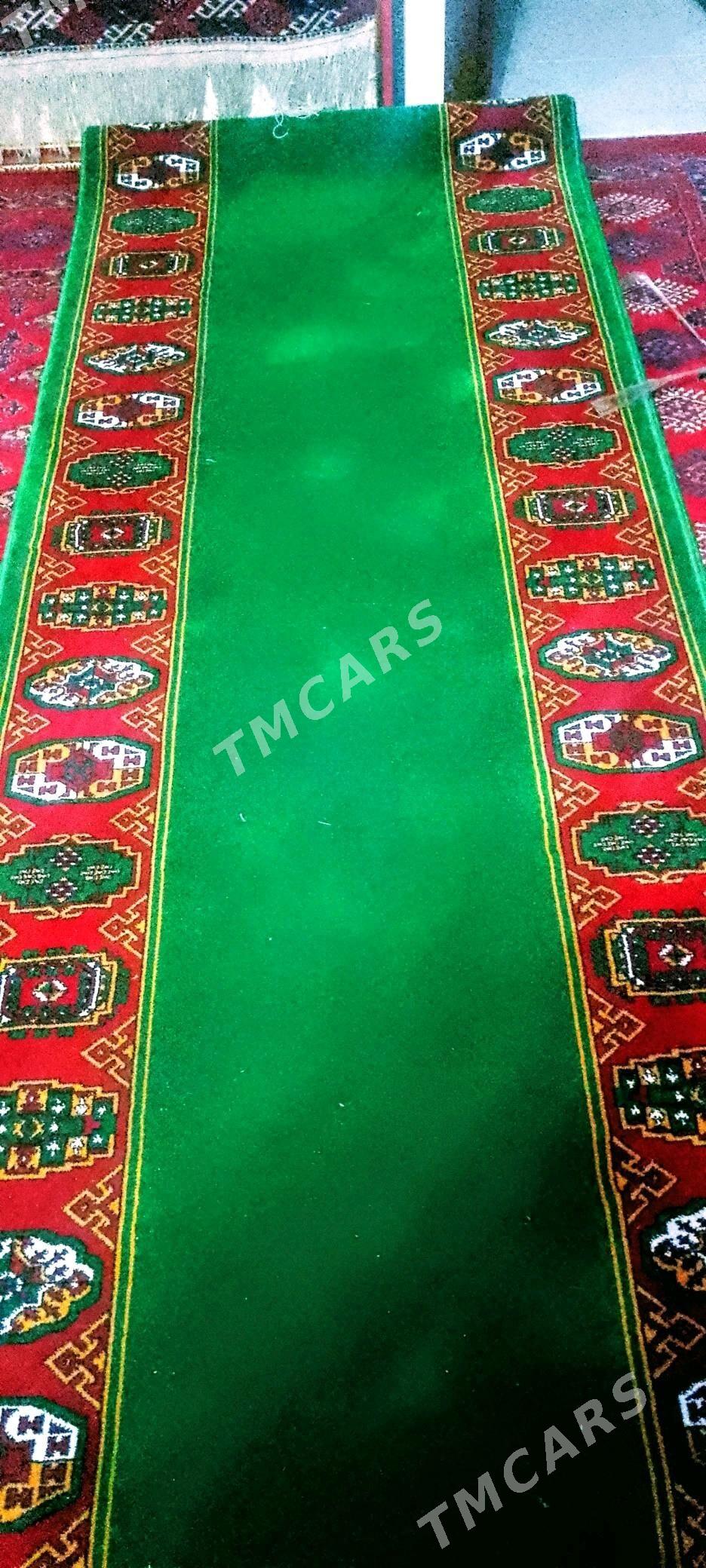 haly palas darosga - Кëши - img 2