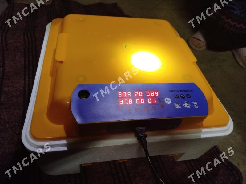 Inkubator 50 ýumurtga - Türkmenabat - img 2