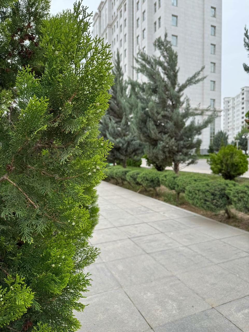 14-tapgyr Pomişeniye 200-m² - Aşgabat - img 2