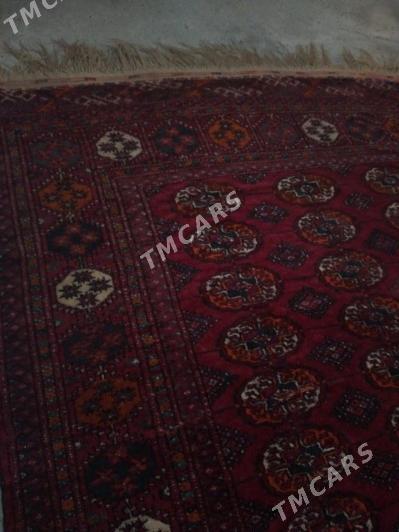  EL HALY  - Aşgabat - img 2