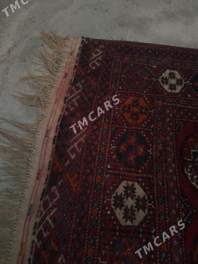 EL HALY  - Aşgabat - img 3