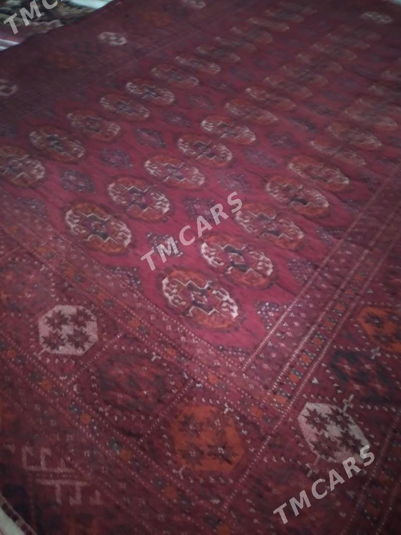  EL HALY  - Aşgabat - img 5