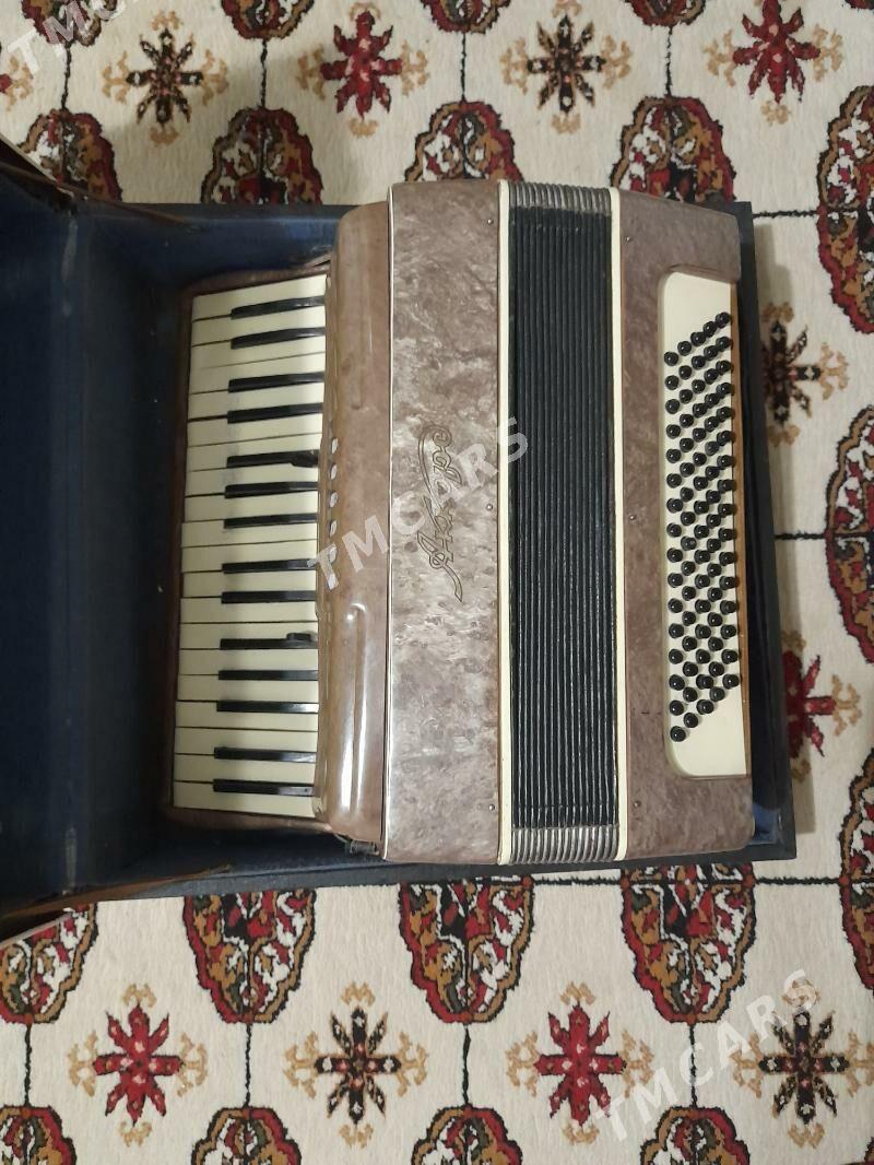 akardeon - Aşgabat - img 2