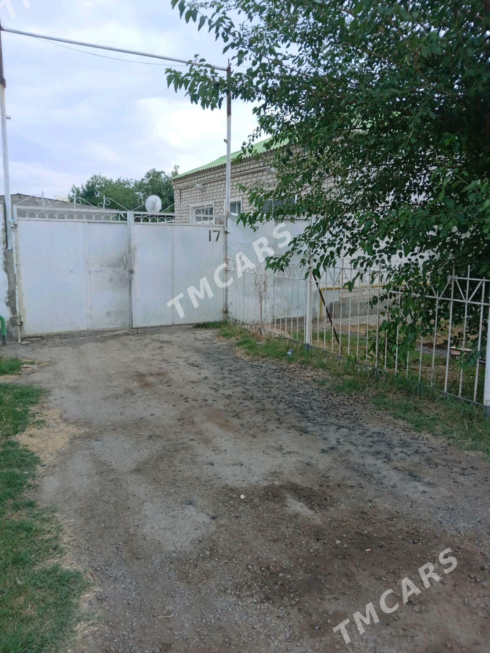 Garadamak - Ашхабад - img 3