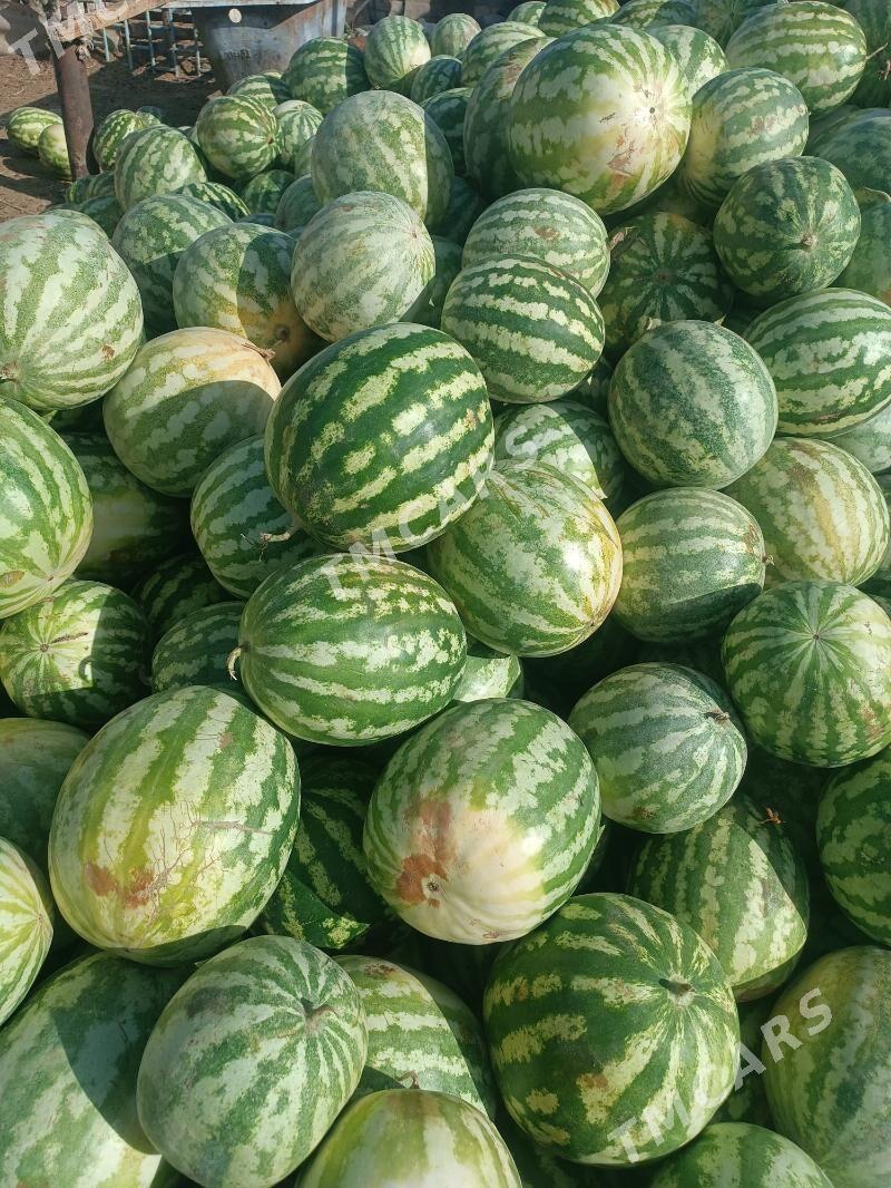 Mal oty - Чоганлы - img 1