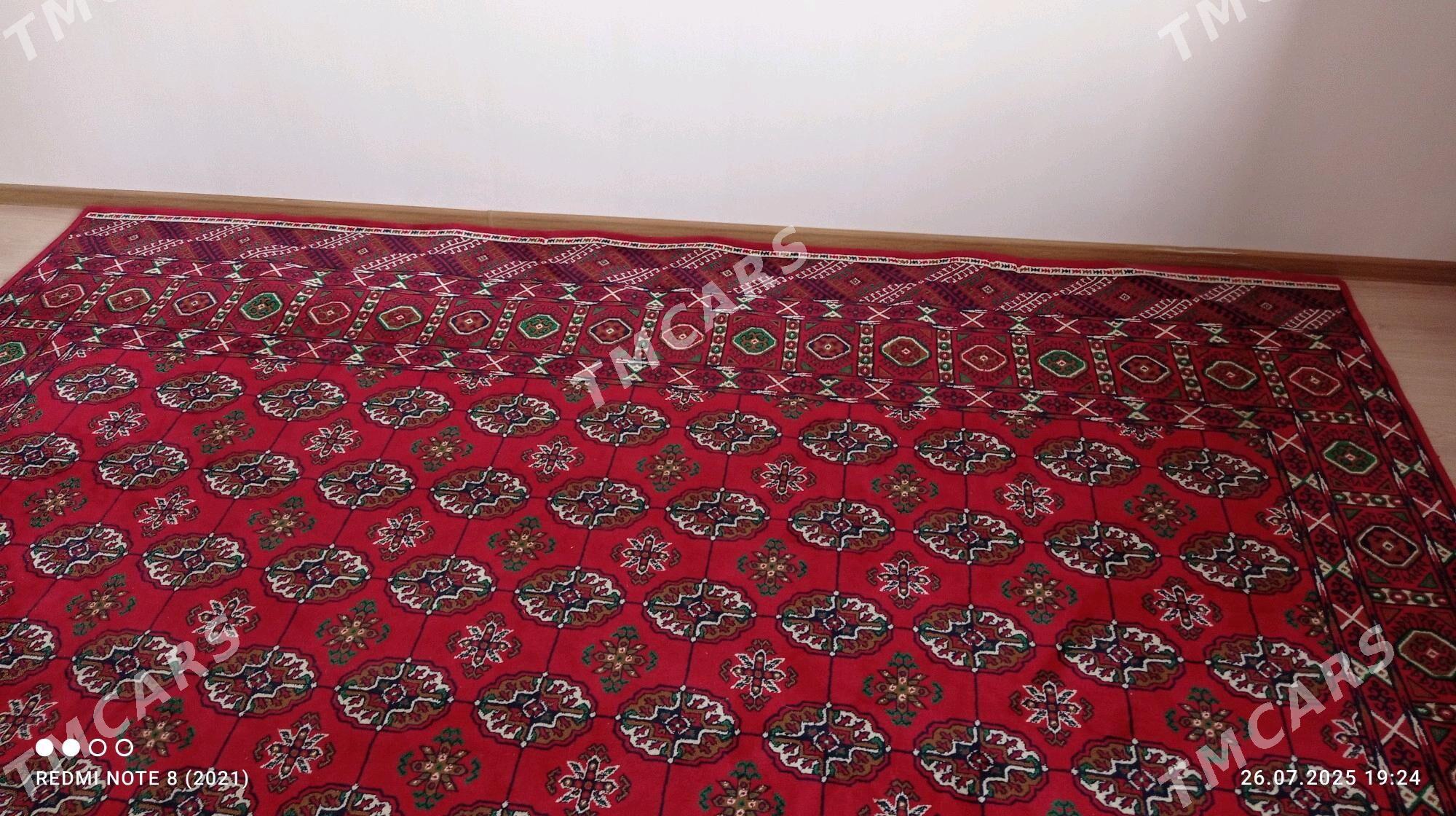 Abadan haly - Daşoguz - img 2
