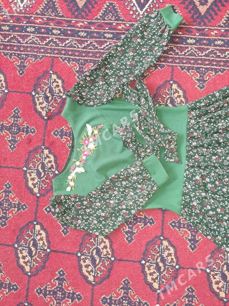 koynek - Bagyr - img 2