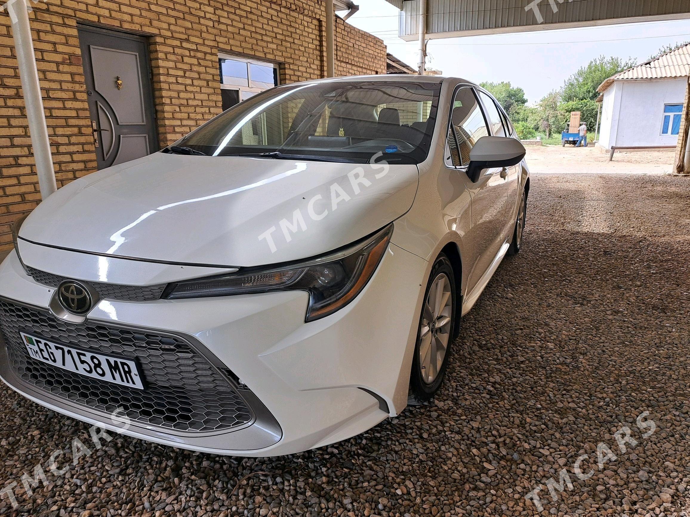 Toyota Corolla 2020 - 239 000 TMT - Мары - img 4