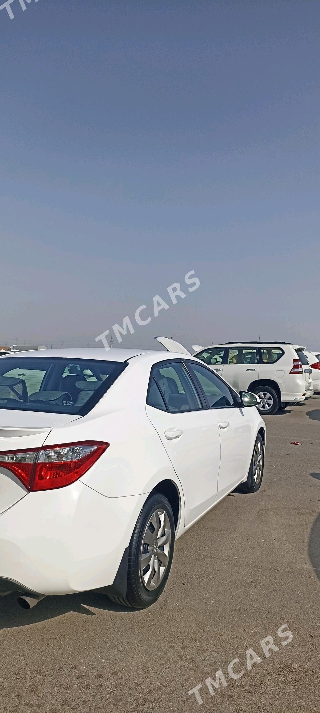 Toyota Corolla 2014 - 185 000 TMT - Büzmeýin GRES - img 5