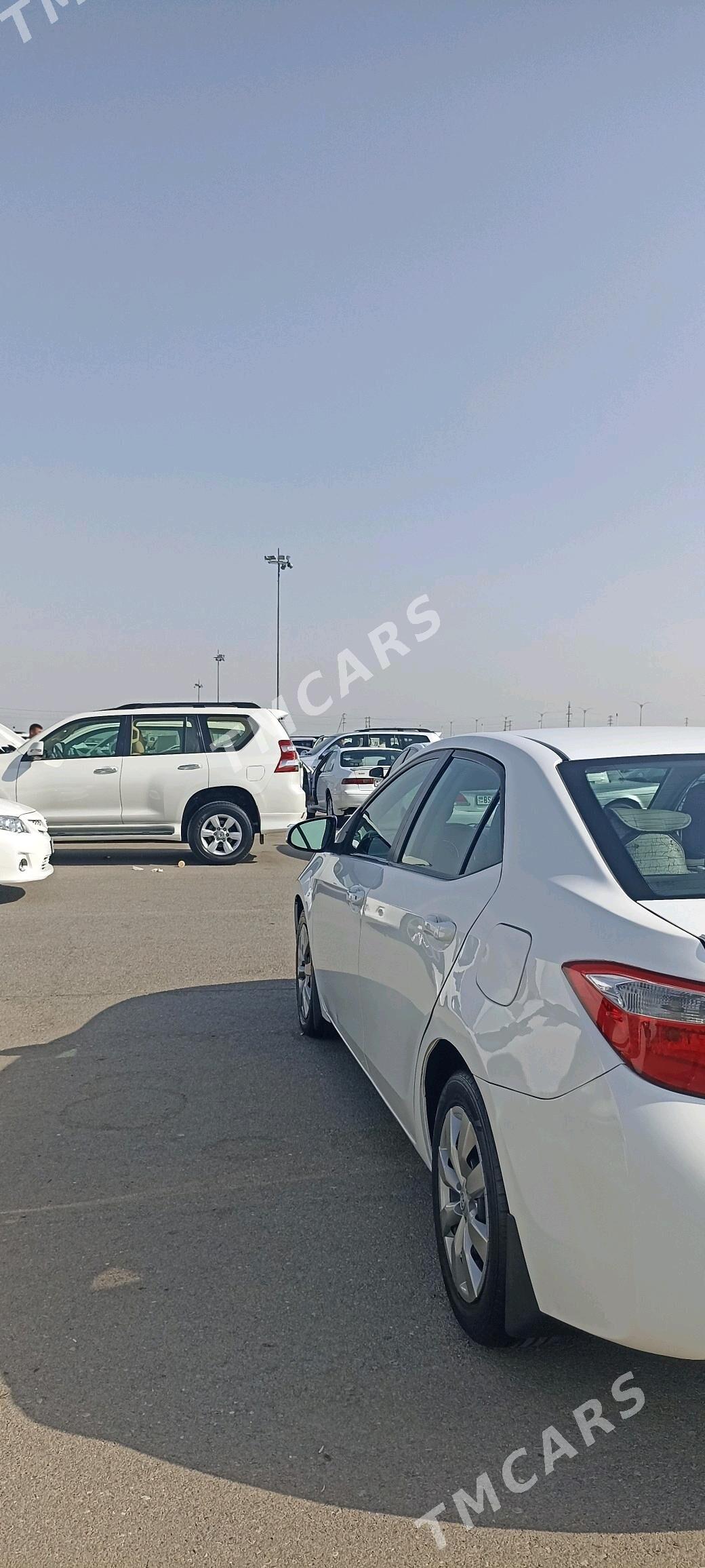 Toyota Corolla 2014 - 185 000 TMT - Büzmeýin GRES - img 4