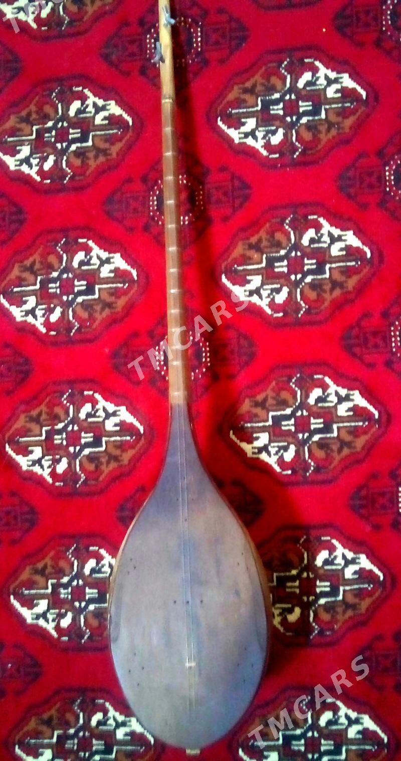 Dutar - Mary - img 3