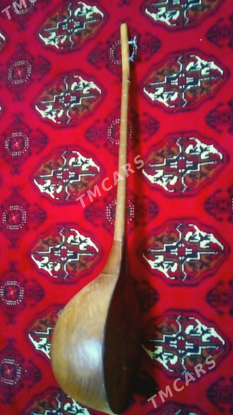 Dutar - Mary - img 2