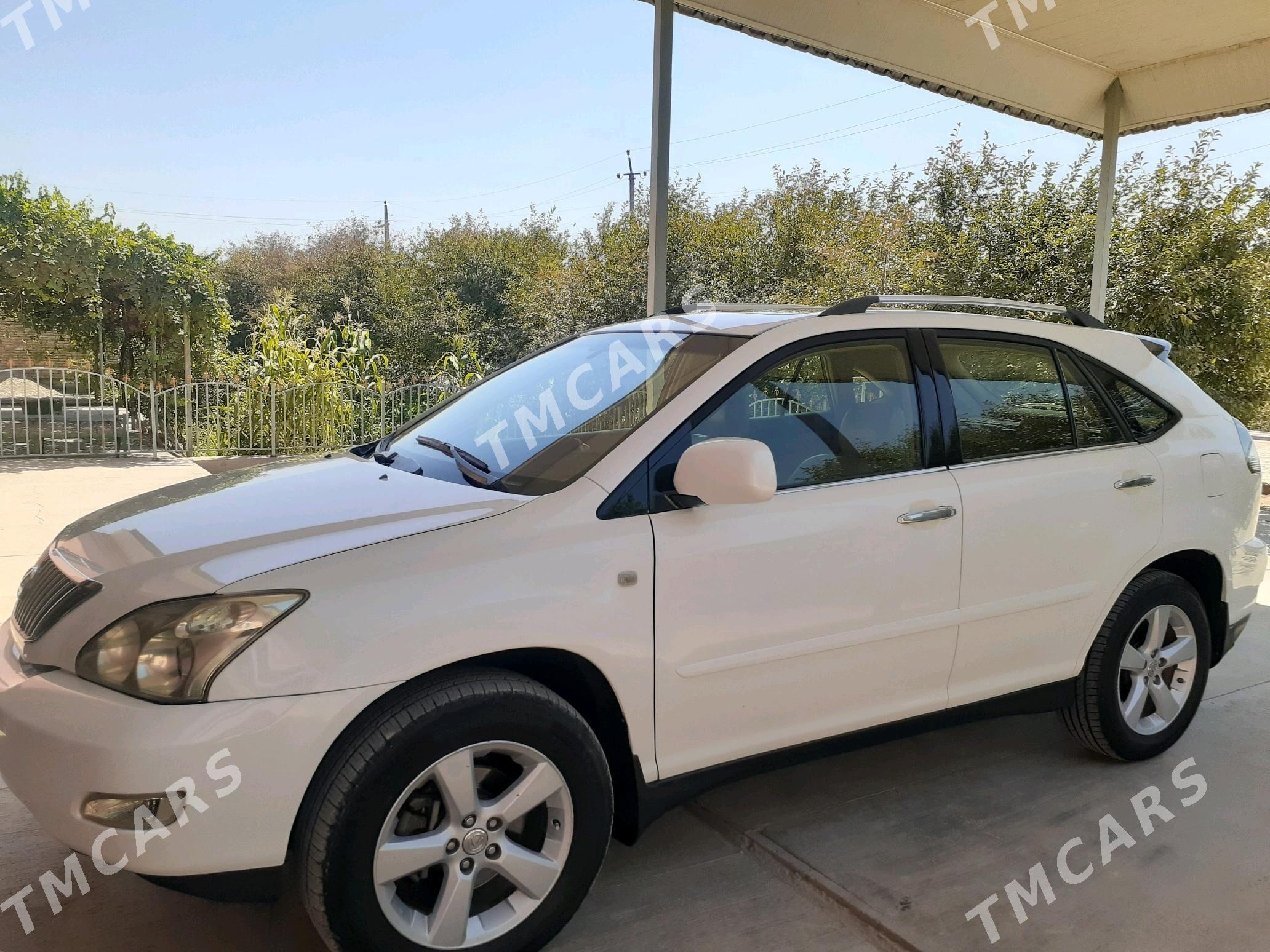 Lexus RX 330 2004 - 240 000 TMT - Çärjew - img 6