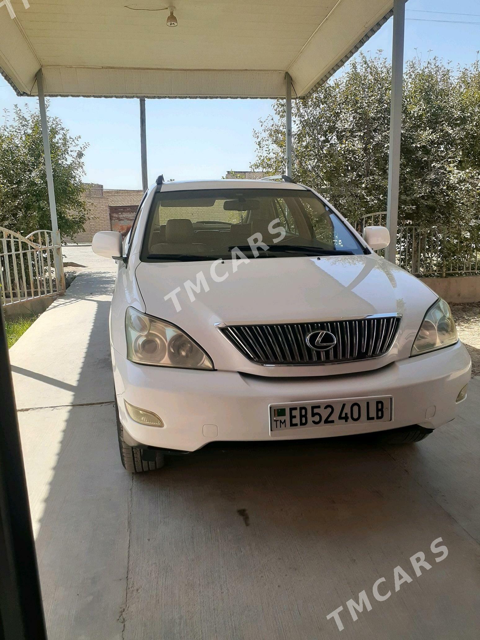 Lexus RX 330 2004 - 240 000 TMT - Çärjew - img 7
