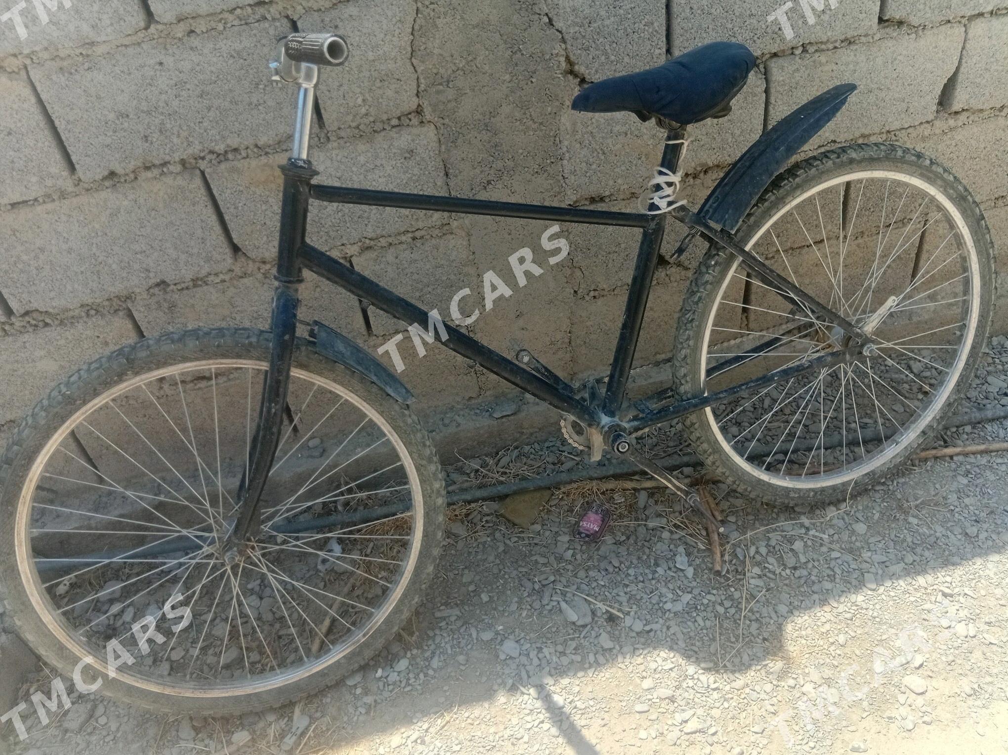 Tigir - Бахарден - img 2
