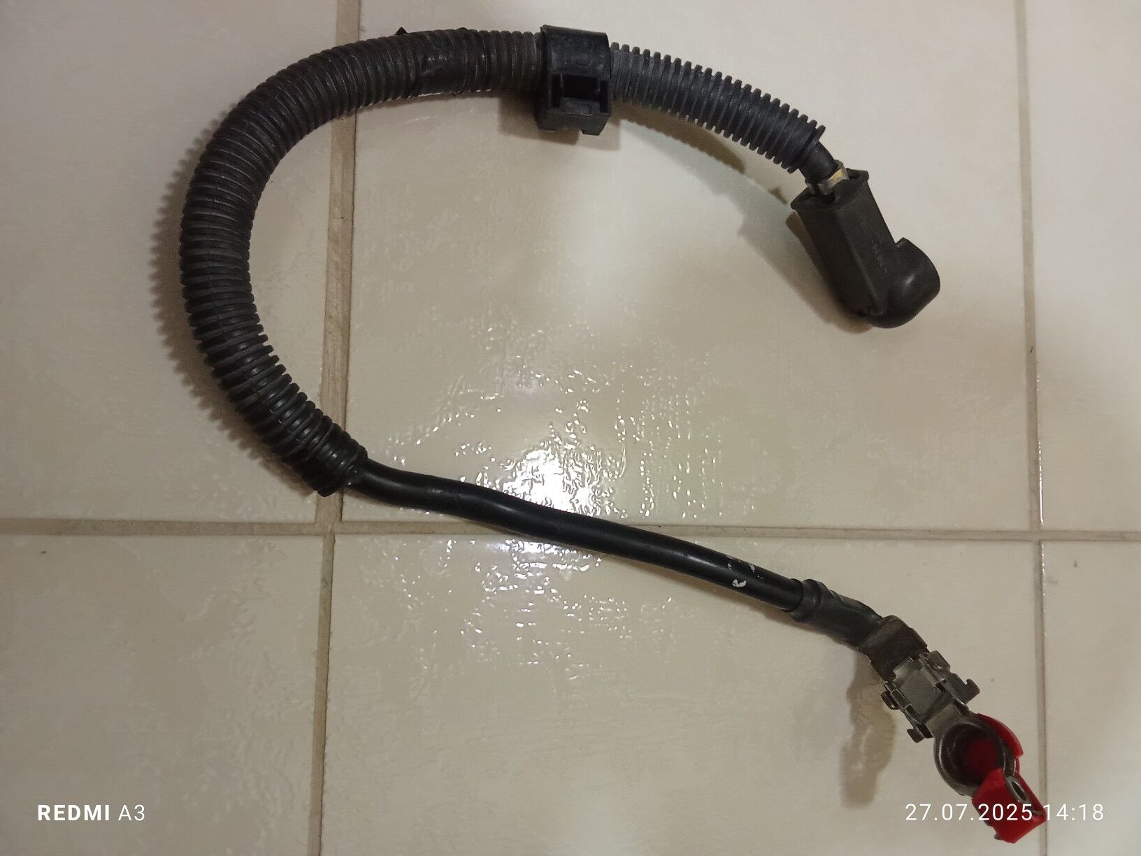 Klema toyota kemri okuz kelle 50 TMT - Aşgabat - img 2