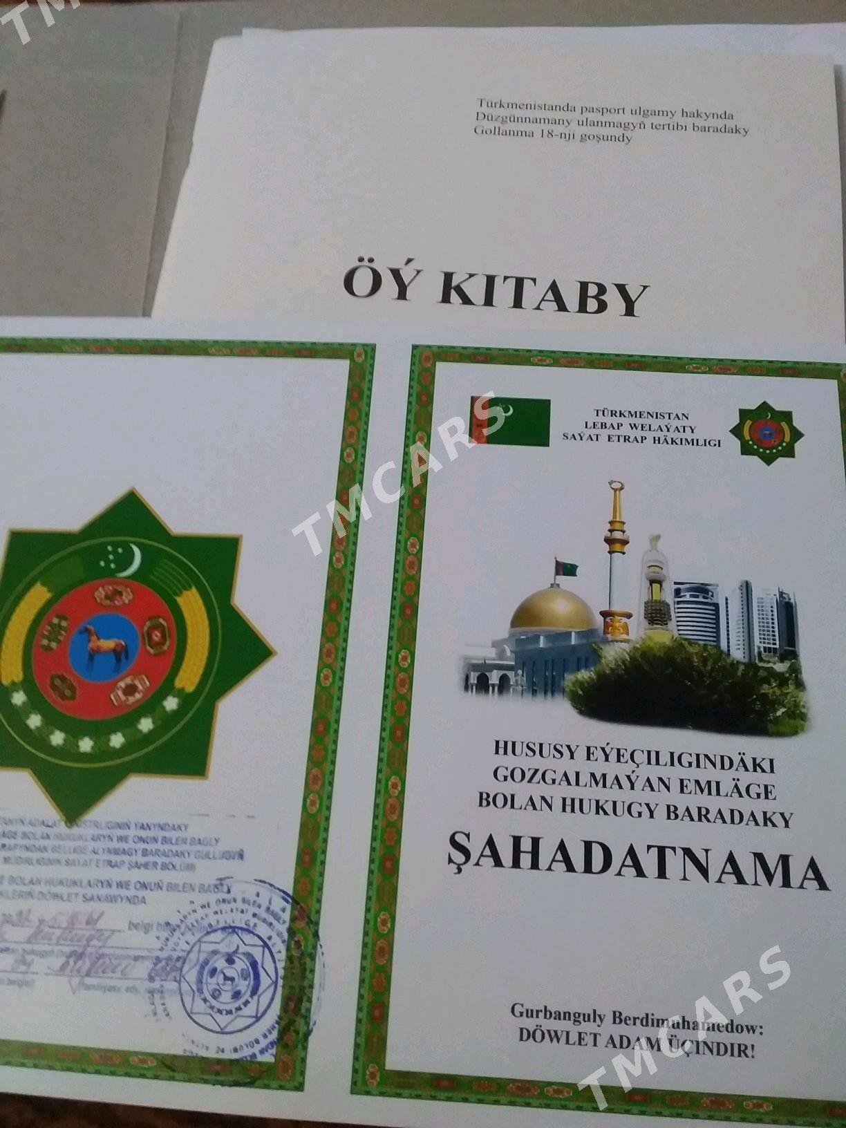 ADMEN JAY ŞÄHER BILEN - Saýat - img 2