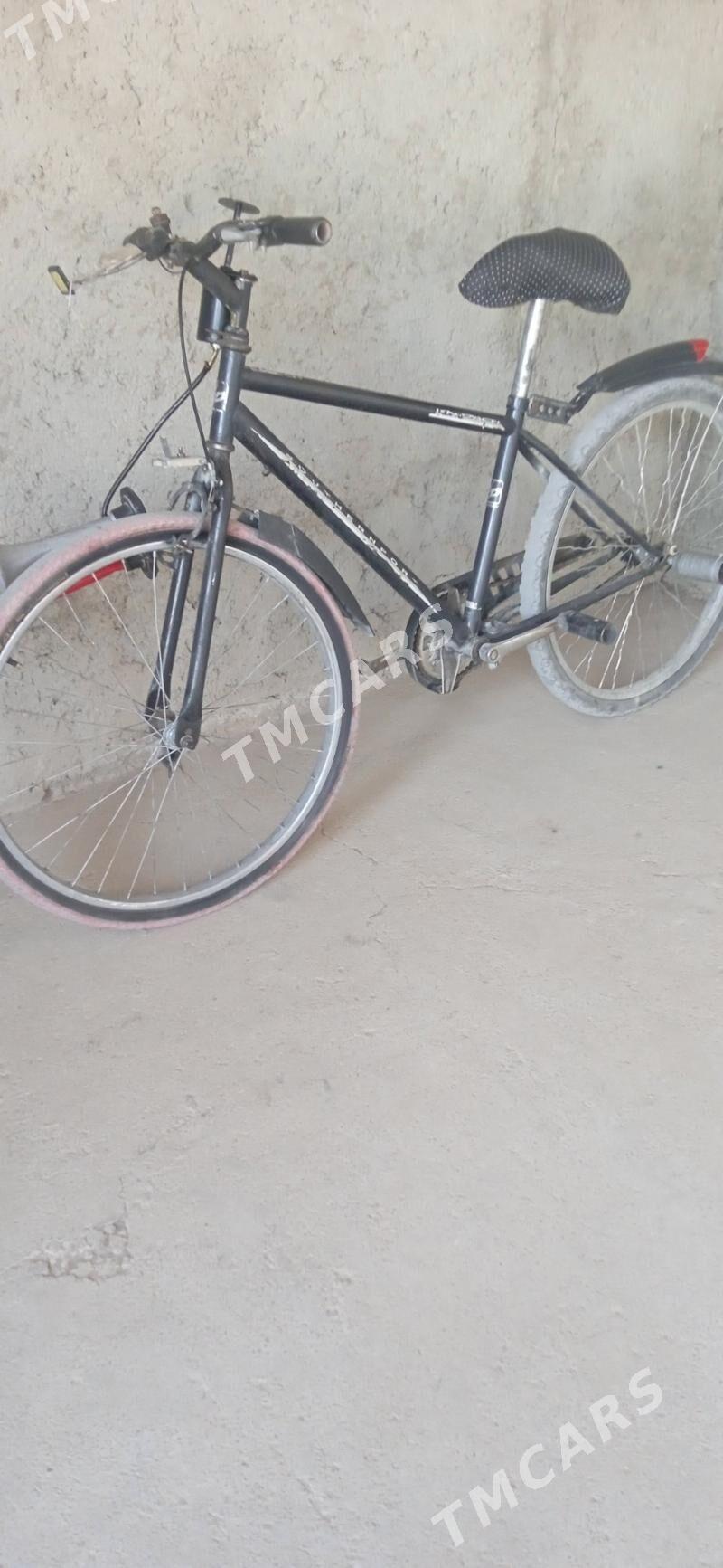 tigir - Balkanabat - img 2