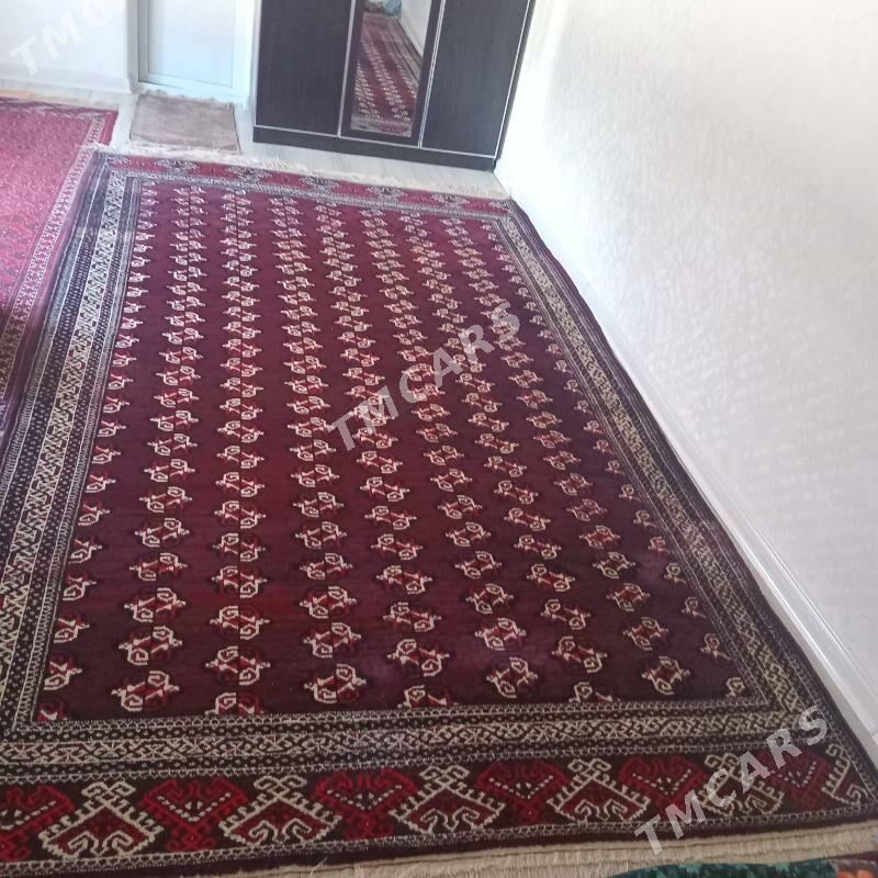 Haly - Türkmenbaşy - img 1