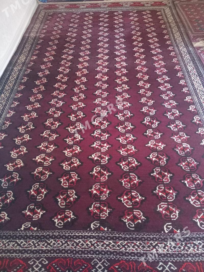 Haly - Türkmenbaşy - img 2