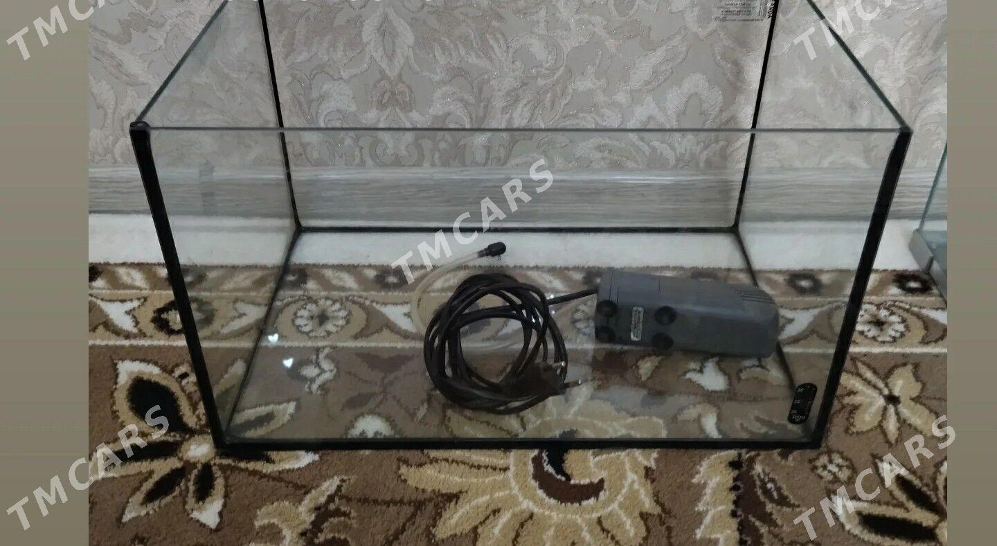 аквариумы - Aşgabat - img 2