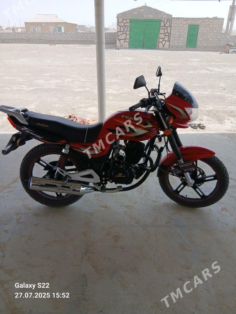 Fekon FK200-14G 2025 - 18 000 TMT - Etrek - img 4
