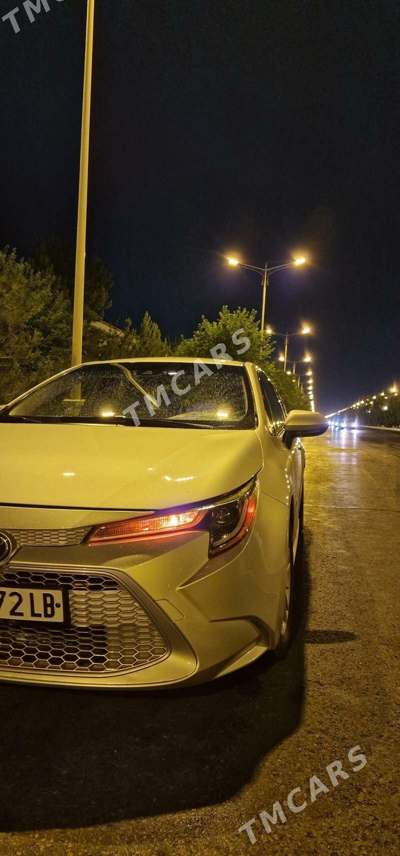 Toyota Corolla 2019 - 230 000 TMT - Чарджоу - img 7