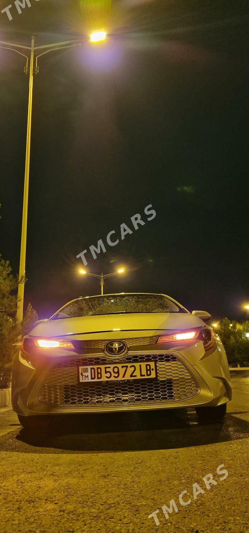 Toyota Corolla 2019 - 230 000 TMT - Чарджоу - img 8