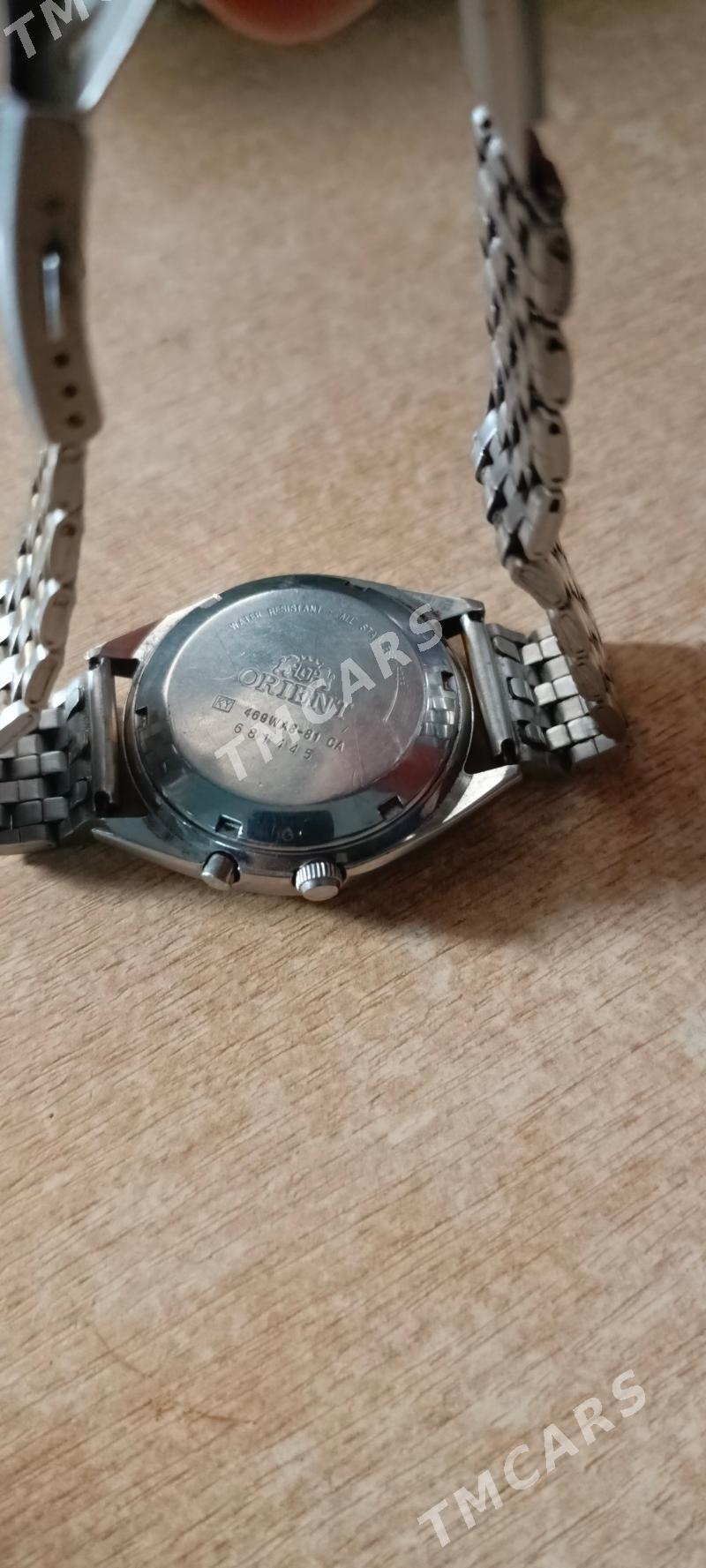 orient  sagat - Gurtly - img 2