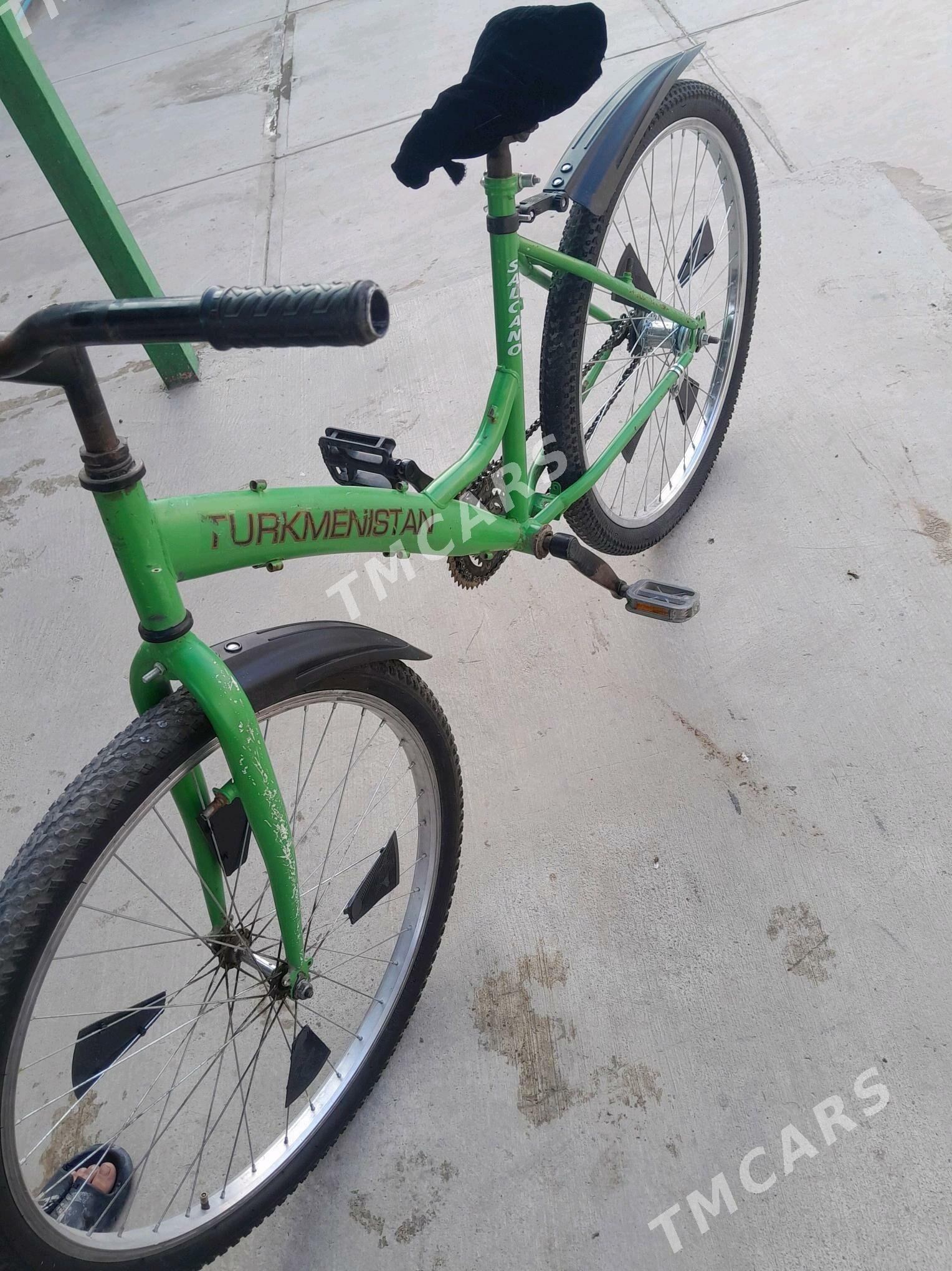 Tigir Turkmenistan - Gyzylarbat - img 3