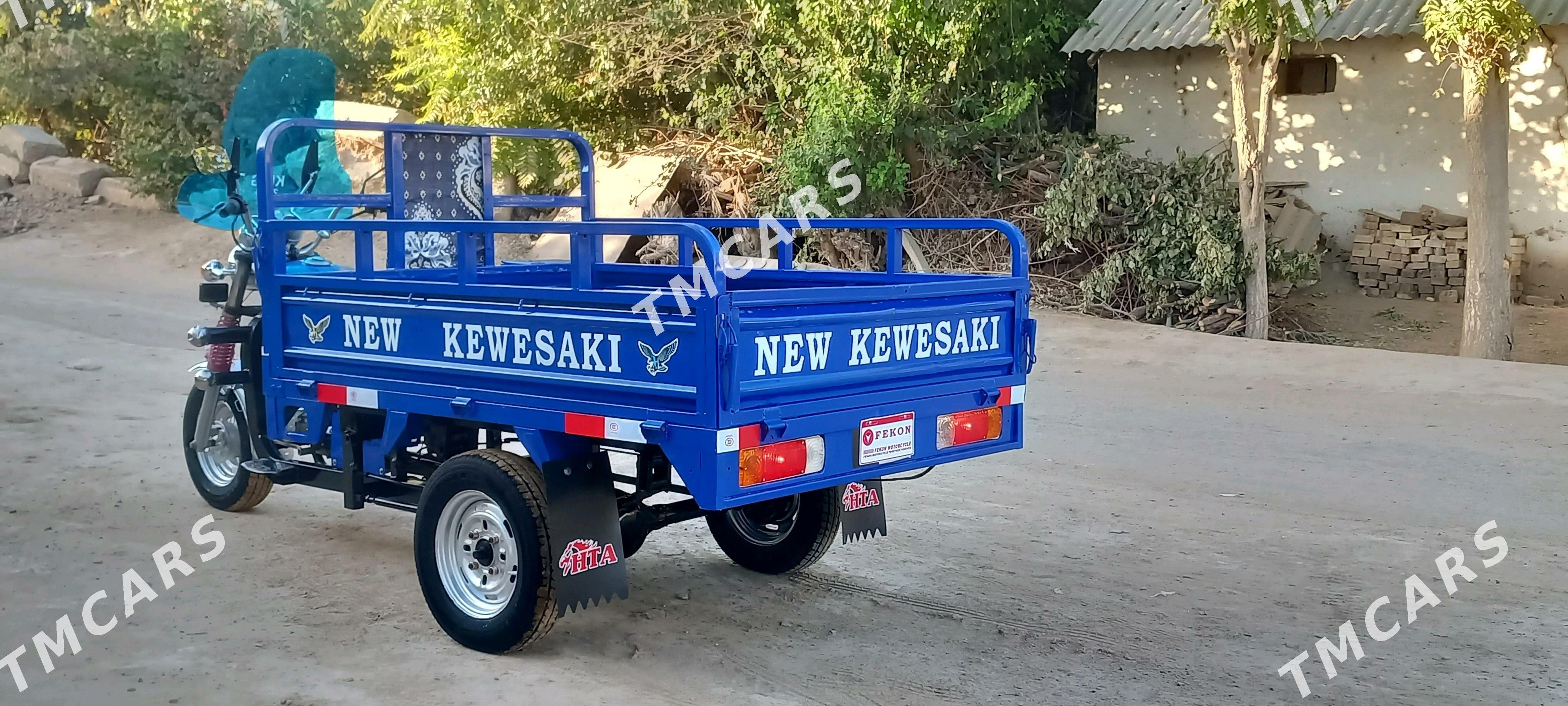 Fekon FK200-14G 2014 - 20 000 TMT - Sakarçäge - img 3