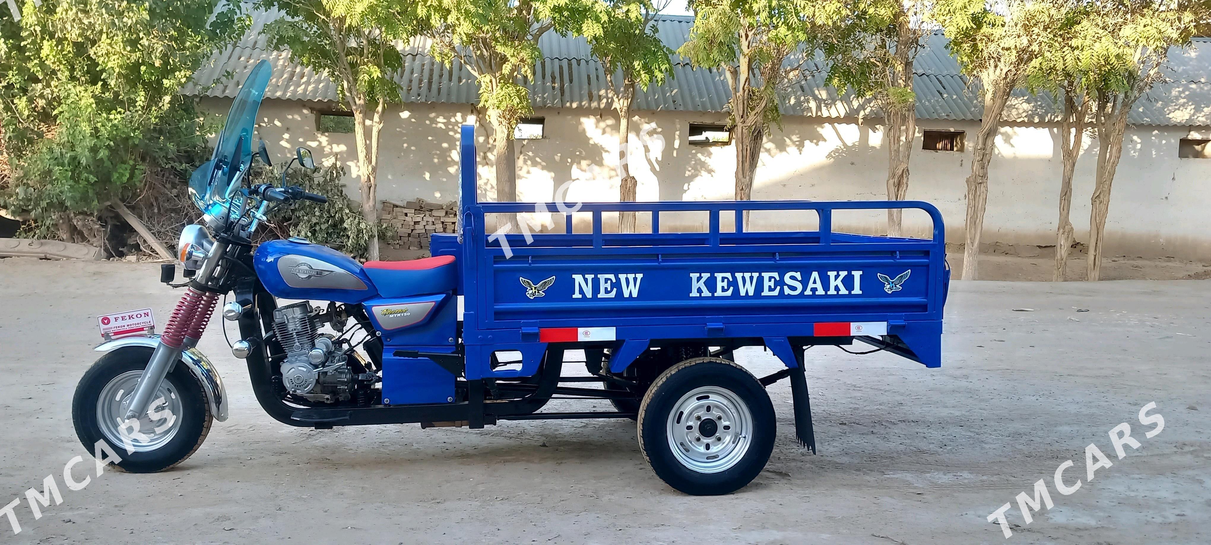 Fekon FK200-14G 2014 - 20 000 TMT - Sakarçäge - img 2