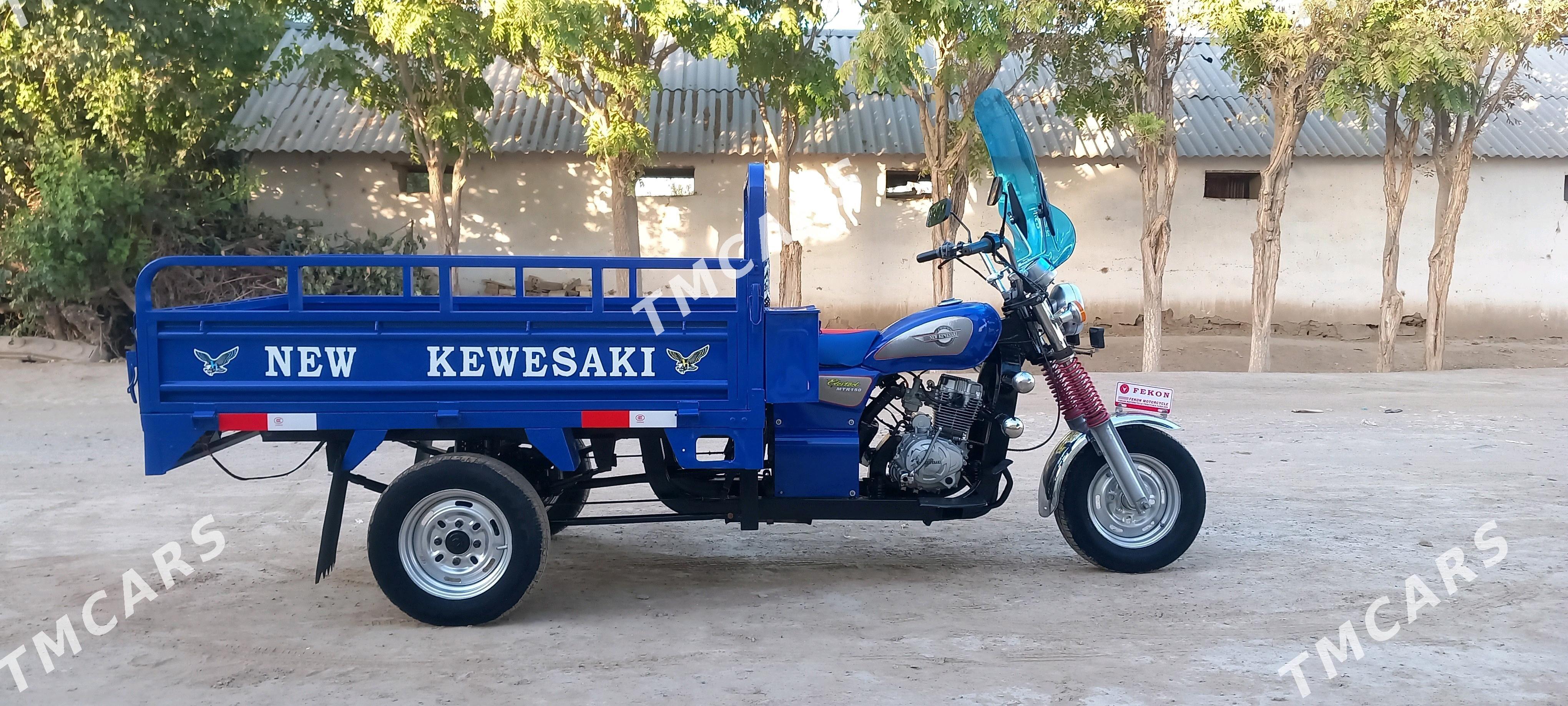Fekon FK200-14G 2014 - 20 000 TMT - Sakarçäge - img 6