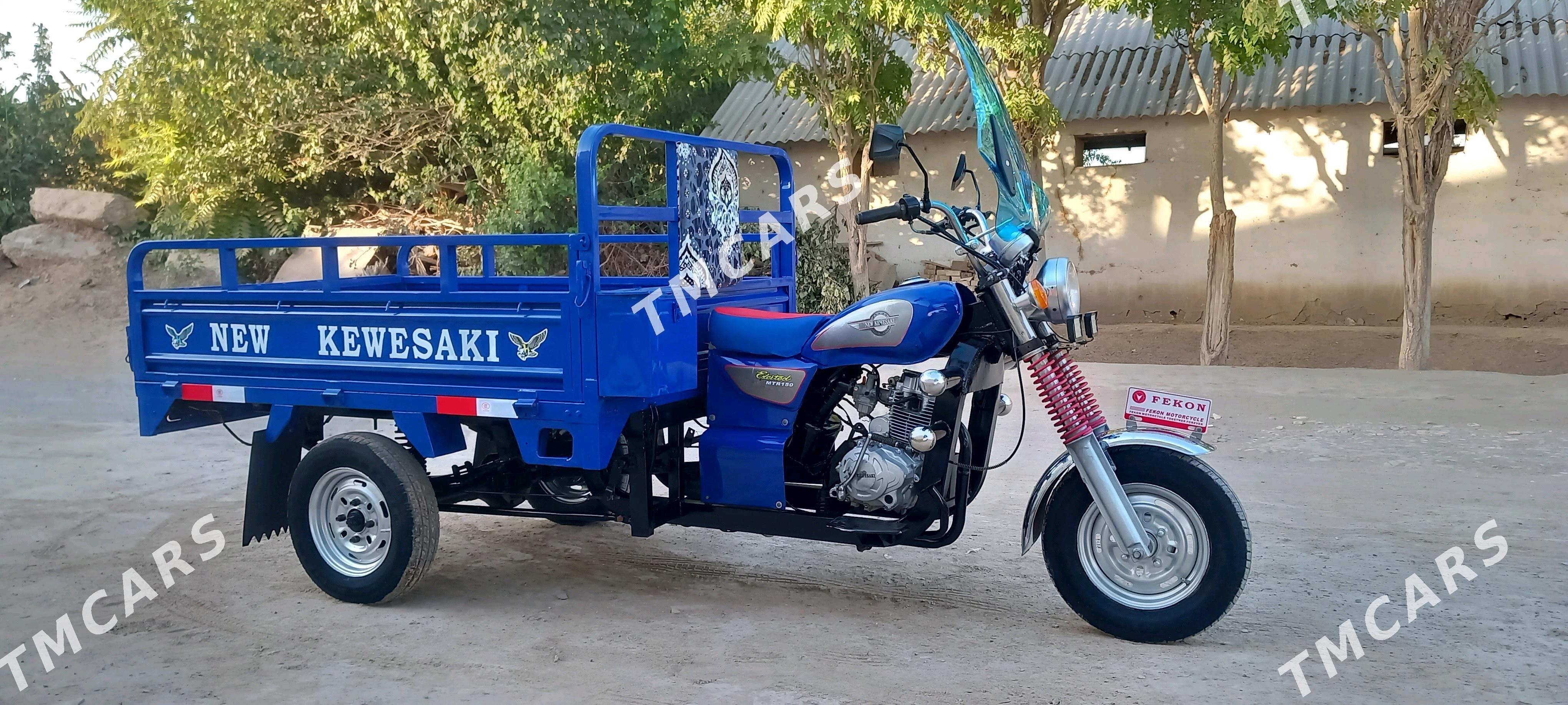 Fekon FK200-14G 2014 - 20 000 TMT - Sakarçäge - img 5