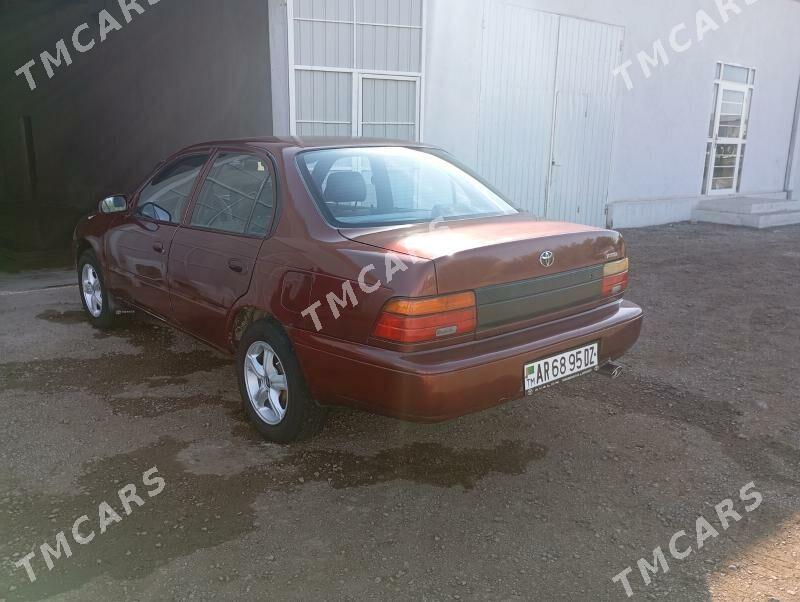 Toyota Corolla 1995 - 53 000 TMT - Görogly (Tagta) - img 2