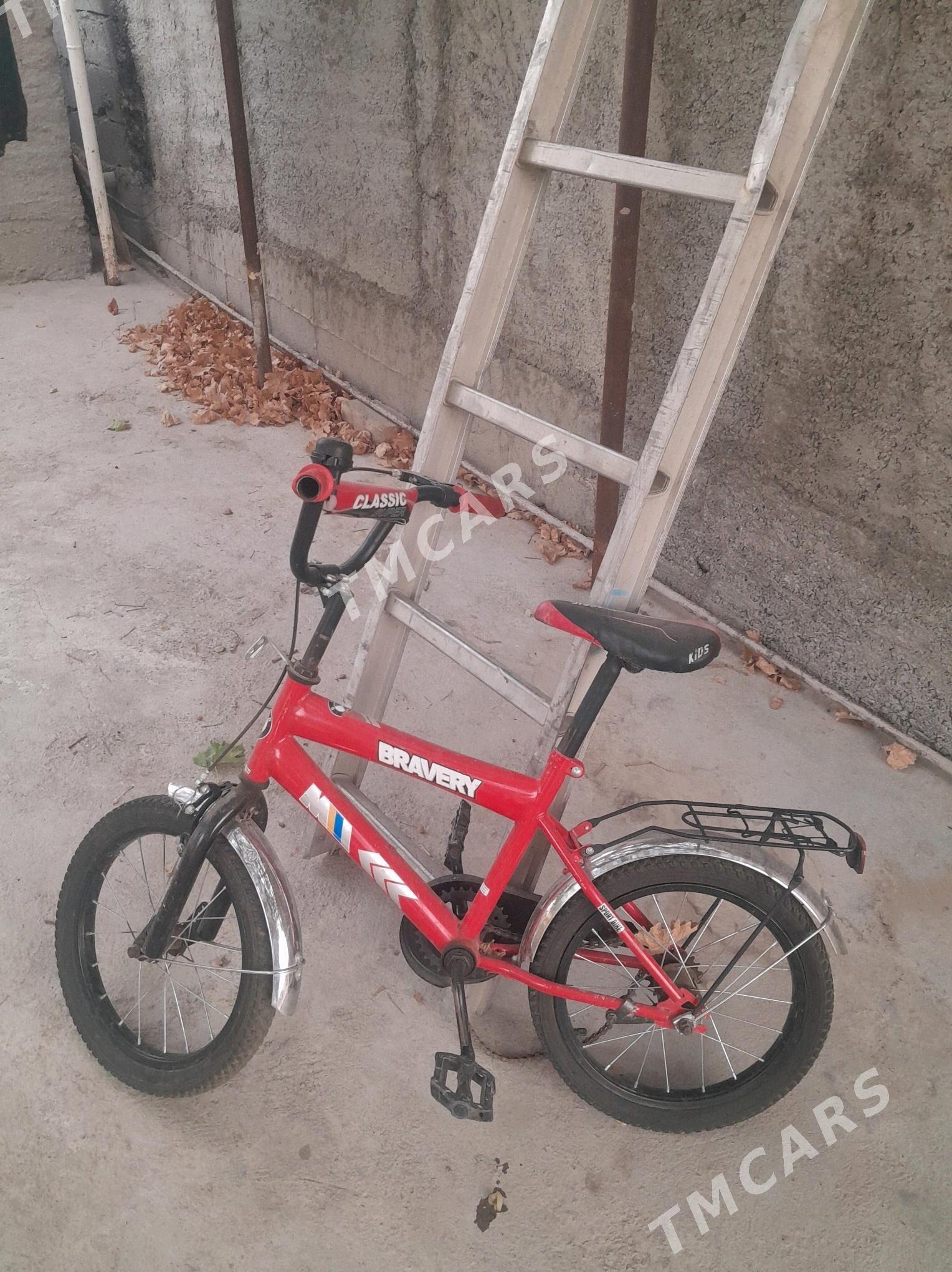 tigir - Ak bugdaý etraby - img 1
