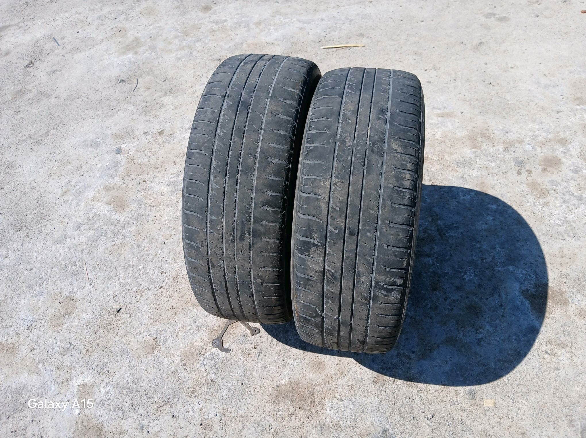 205.65.15  TRIANGEL 200 TMT - Дашогуз - img 2