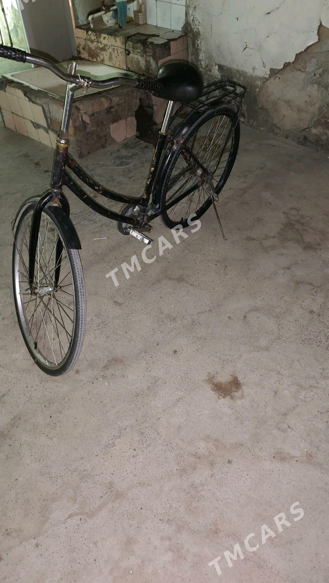 tigir - Hitrowka - img 2