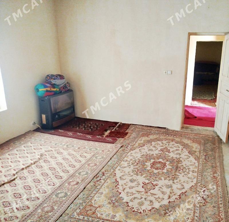Turkmenistan koce - Этрек - img 3
