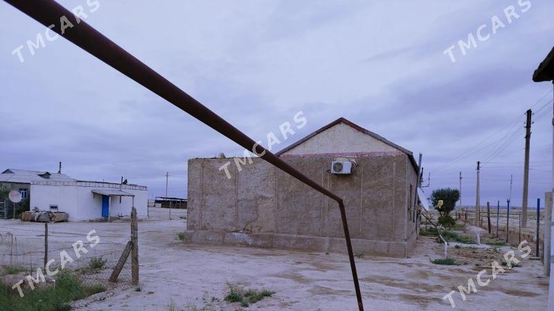Turkmenistan koce - Этрек - img 2