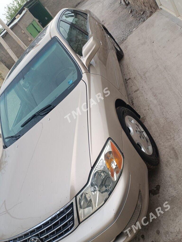 Toyota Avalon 2003 - 220 000 TMT - Магданлы - img 4