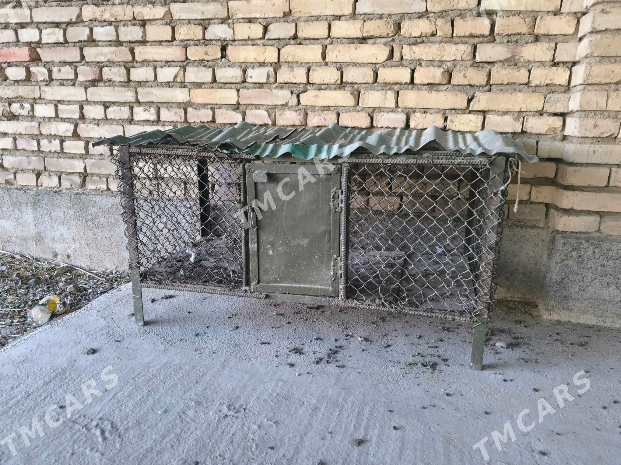 ketek - Кака - img 4