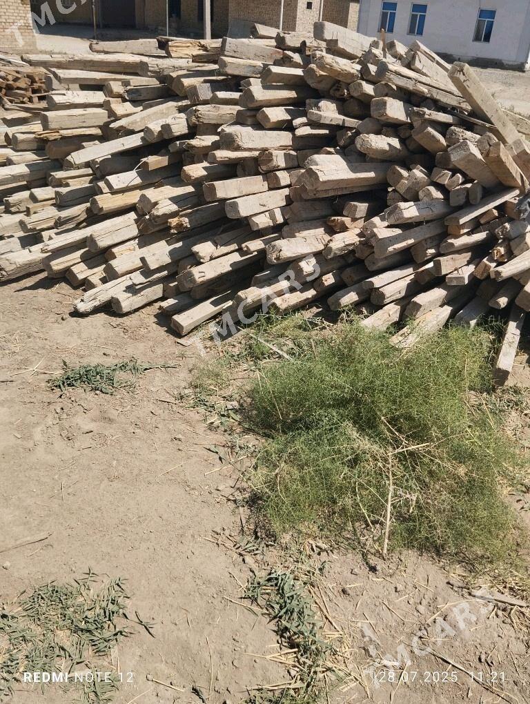 agac - Murgap - img 2