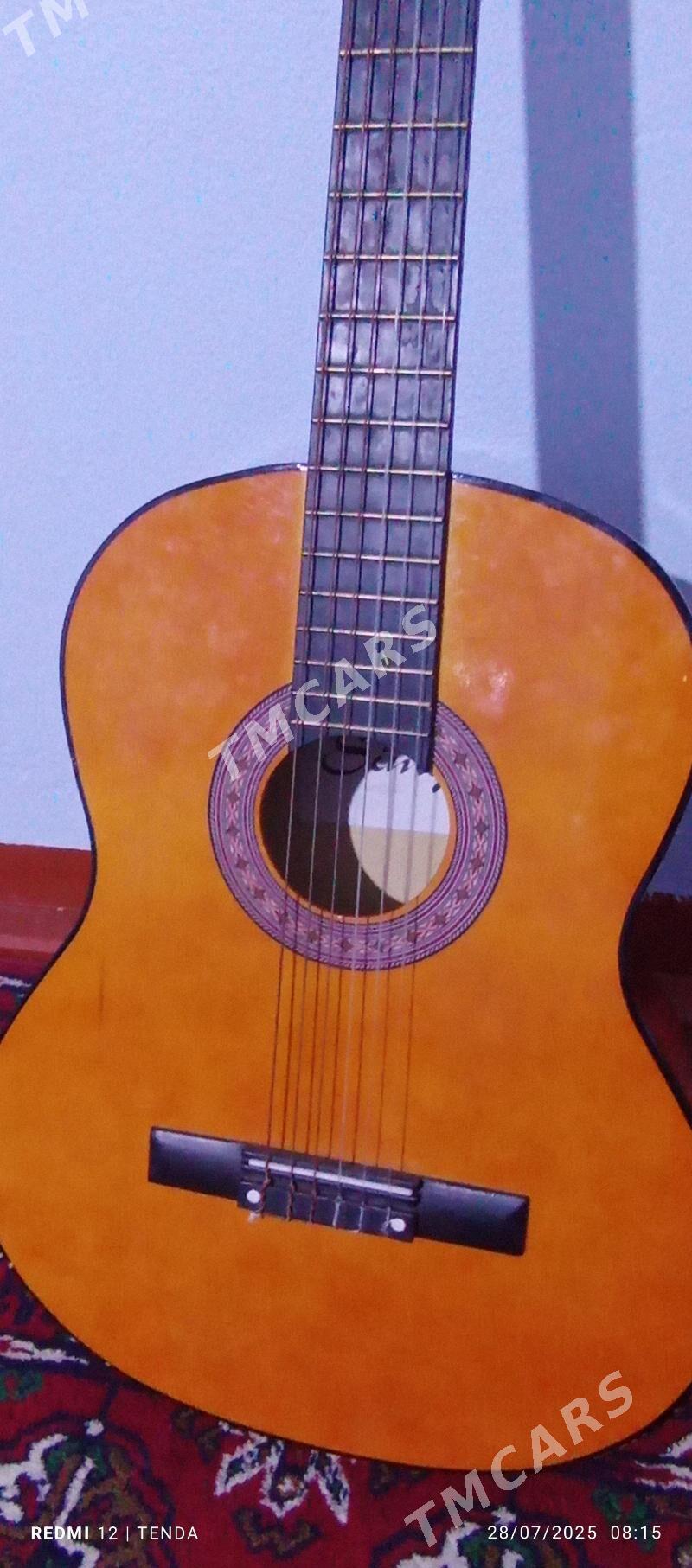 gitara - Halaç - img 2