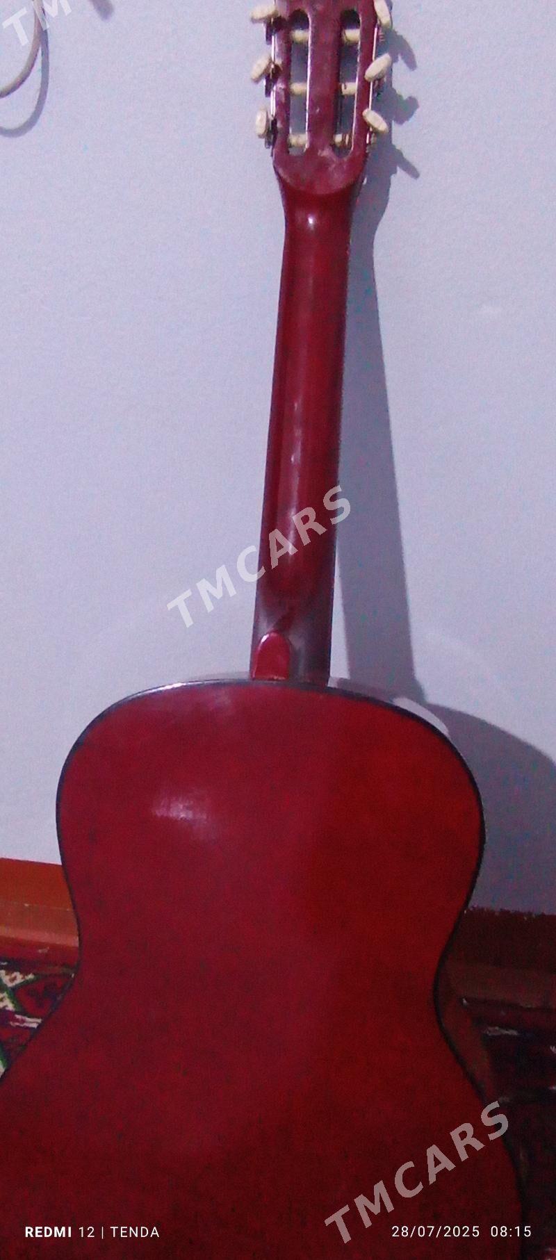 gitara - Halaç - img 3