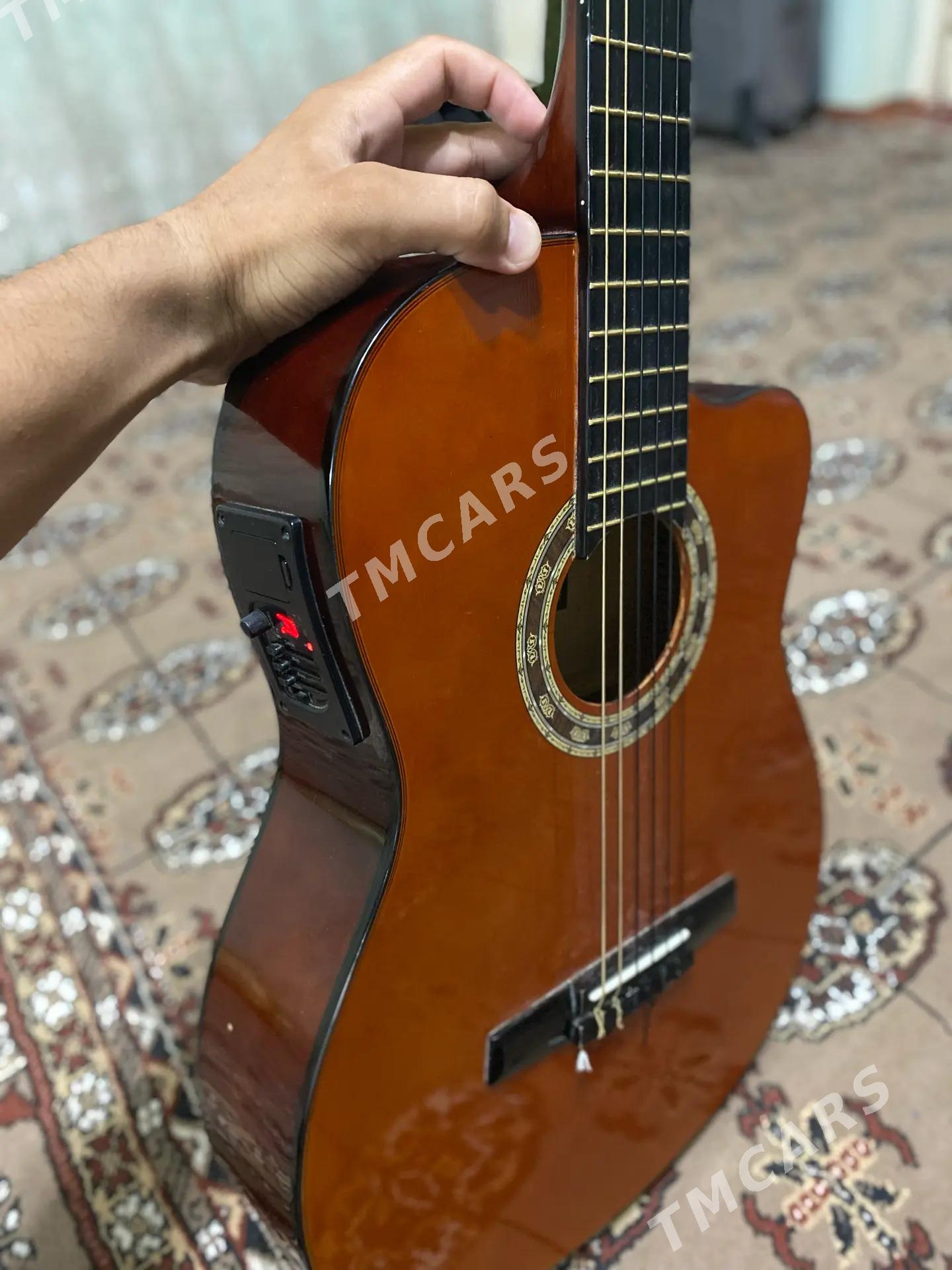 Castle Gitara - Murgap - img 3